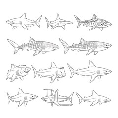 Obraz premium Various shark drawings in different poses.