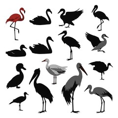 Naklejka premium Collection of various bird silhouettes.