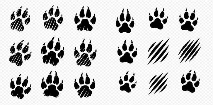 Set of black animal paw prints and claw scratch marks, isolated on transparent background.