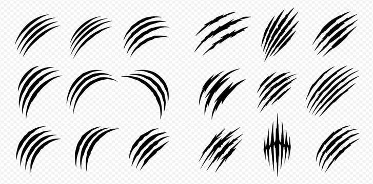 Set of animal claw scratches and rips on transparent background, vector illustration of monster or beast attack marks.