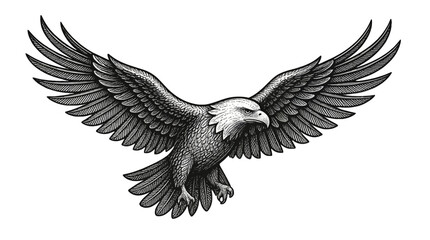 Fototapeta premium Majestic Eagle Flying with Wings Spread Wide Illustration
