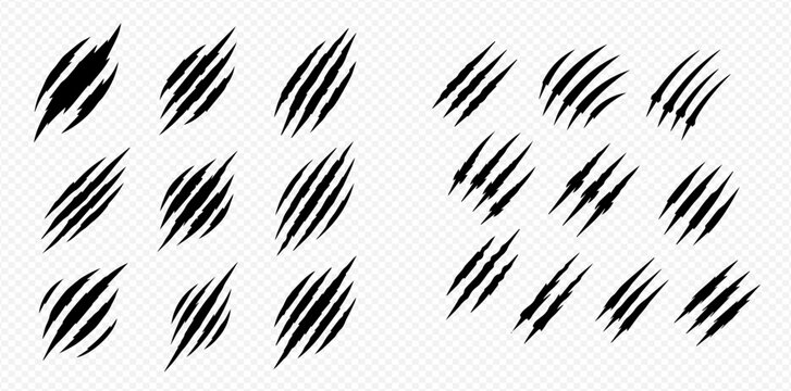 Collection of animal claw marks, scratch effects, and tear signs on transparent background, ideal for graphic design elements.