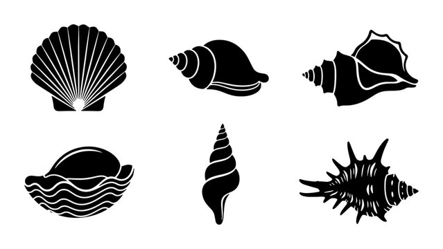 Vector Set of Six Black Seashell Silhouettes, Marine Life Icons, Ocean Beach Elements for Nautical Design