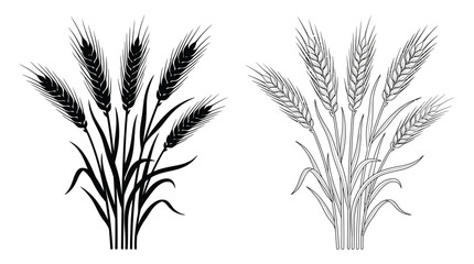 Fototapeta premium Wheat stalks illustration black and white line art