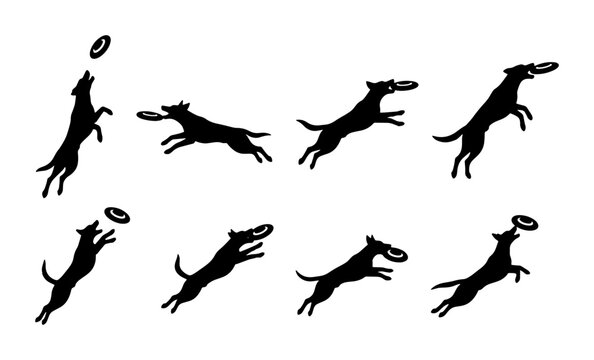 Dog Catching Frisbee Sequence, Silhouette Animation Frames, Pet Play Action, Outdoor Activity, Canine Sport