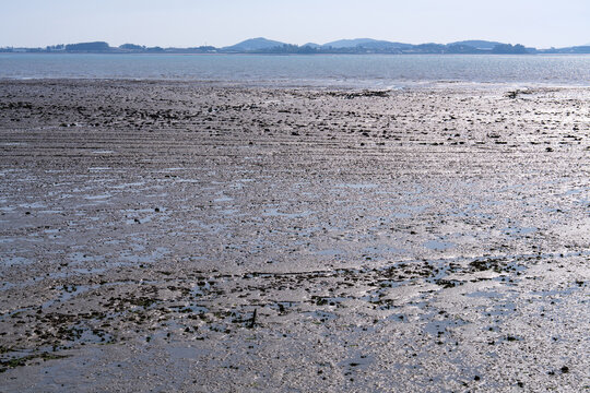 Wide Angle View of Muan Dolmeori Beach Mudflat and Sea