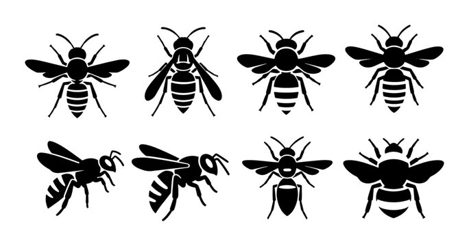 Set of 8 Black Bee Icons, Insect Vector Graphics, Flying and Standing Insect Silhouettes for Nature and Agriculture Design
