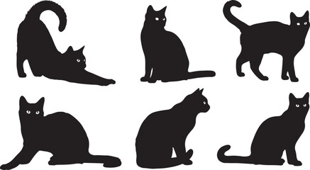 Black cat silhouettes, feline icons, cat graphics, animal shapes isolated PNG with Transparent Background © Riponislam