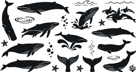 Whale and ocean marine life silhouette collection featuring humpback whales orcas tails waves and underwater wildlife vector illustrations. © Salina
