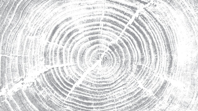 Rustic tree rings texture with rough grunge overlay Organic wood pattern with monochrome distressed surface