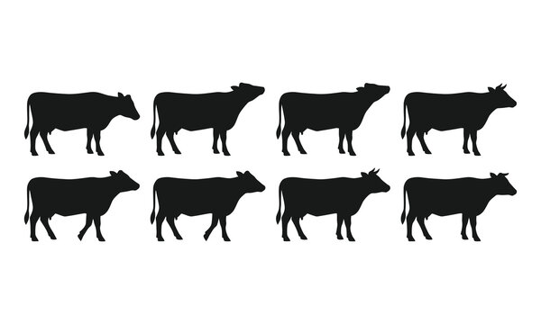 Set of twelve black silhouettes of tyrannosaurus rex dinosaurs isolated on white background