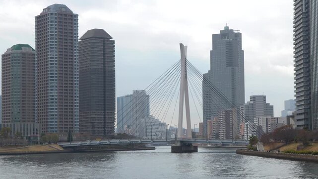 Modern Chuo Ohashi Bridge and Tokyo Cityscape Over Sumida River
