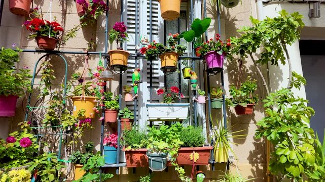 Colorful Potted Plants and Flowers on a House Facade in Cassis