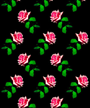 roses vector pattern.eps