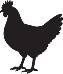 a murgi vector © Shahidul