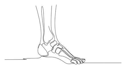 Obraz premium Continuous line drawing of human foot skeletal anatomy for medical education and health presentations
