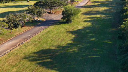 Naklejka premium Aerial View of a Paved Road Through a Lush Green Park
