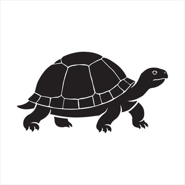Turtle Silhouette Vector Illustration Minimal Sea Animal.eps