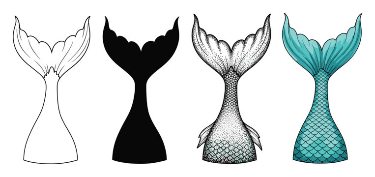 Mermaid tail outline silhouette dotted and colored versions for aquatic graphic projects