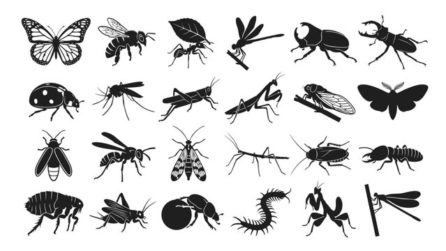 24 Insect Silhouette Vector Set Isolated on White