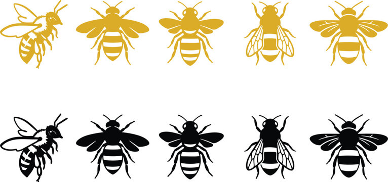 Set of golden and black bee illustrations for creative design projects and branding.