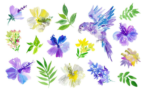 Watercolor tropical floral PNG clipart set with abstract hand painted purple and white hibiscus, parrots and leaves for pattern, stationary and interior design.