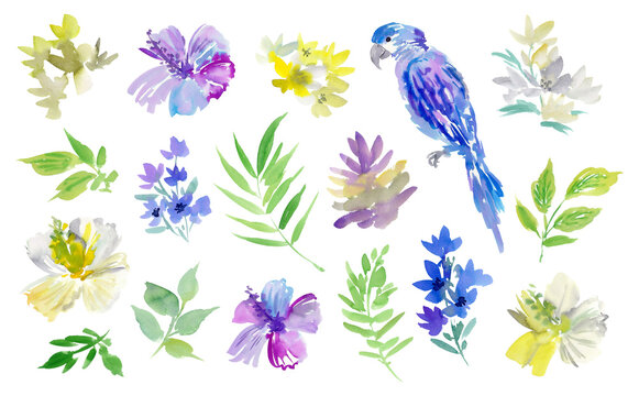 Watercolor tropical floral PNG clipart set with abstract hand painted purple and white hibiscus, parrots and leaves for pattern, stationary and interior design.