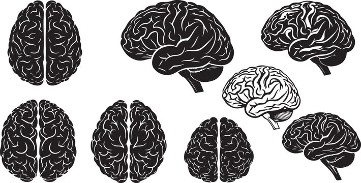 Illustrations of human brain from different angles
