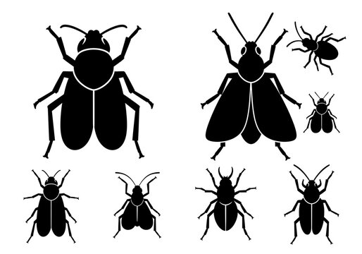Black Insects Silhouettes on White Background