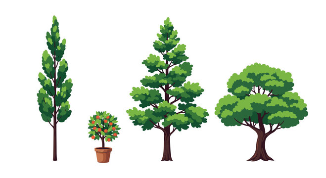 Collection of four different types of green trees including a tall cypress a fruit tree a pine and a broadleaf oak tree.