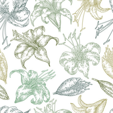 Seamless pattern of hand drawn flowers. Trendy botanical elements. Line art lilies . Elegant wildflowers design template for wedding invitation or card, fabric print. Vector floral illustration