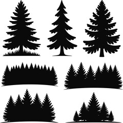 Obraz premium Black silhouette pine trees forest landscape fir tree
