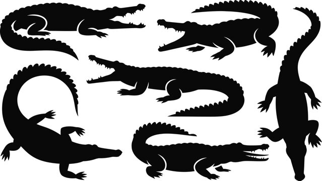 Collection of black alligator silhouettes in various poses