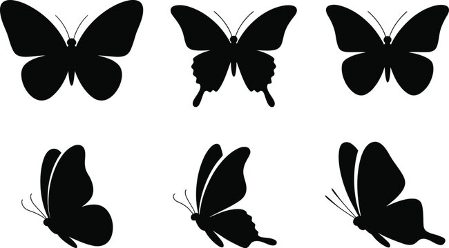 Six black butterfly silhouettes various poses white