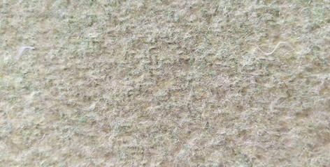 Natural beige wool texture background, soft cream fleece fabric surface, close-up of organic sheep wool material for textile design and winter fashion © Arbaz