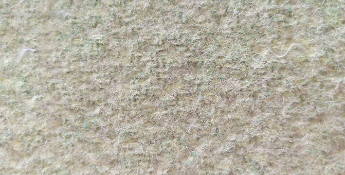 Natural beige wool texture background, soft cream fleece fabric surface, close-up of organic sheep wool material for textile design and winter fashion