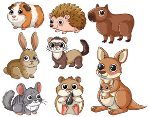Fototapeta premium Vector illustration of various small mammals and a kangaroo on a plain white background