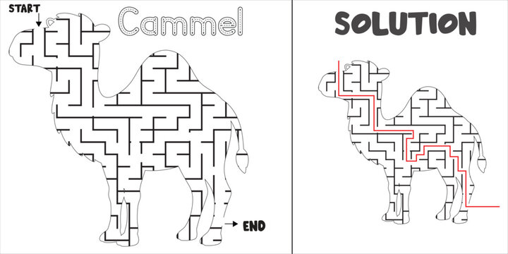 Camel Shaped Labyrinth Puzzle brain game abstract Desert animal maze with Solution for kids and adults. fun logic Education vector worksheet  illustration isolated on white background