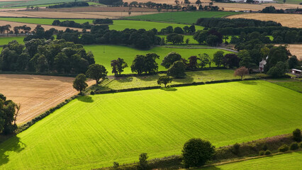 Obraz premium Aerial View of Vibrant Green Patchwork Farmland in Kinross Scotland