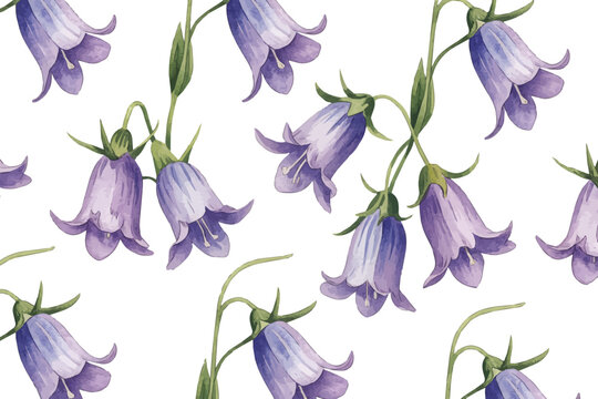 Watercolor A Harebell Stem pattern vector illustration isolated on white background