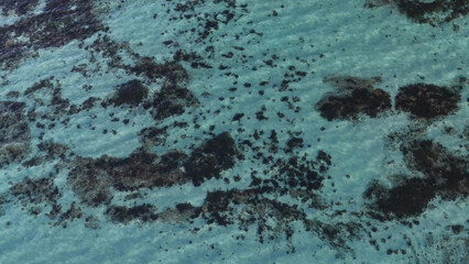 Aerial Top Down View of Shallow Coastal Reef and Turquoise Water © blueringmedia
