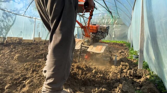 Farmer operating motorized cultivator inside greenhouse loosening soil and preparing rows for planting crops