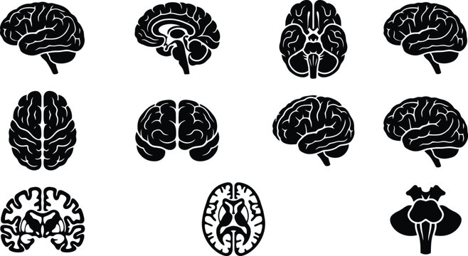 Set of ten black and white human brain silhouette icons in various views vector illustration