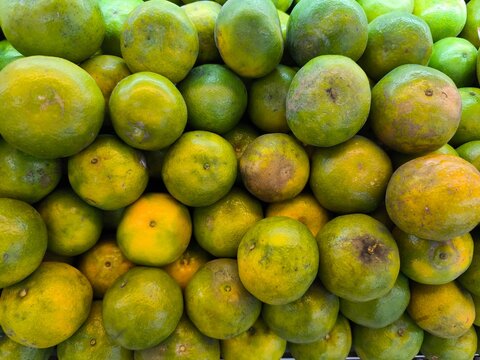 Fresh green oranges fruit pile.