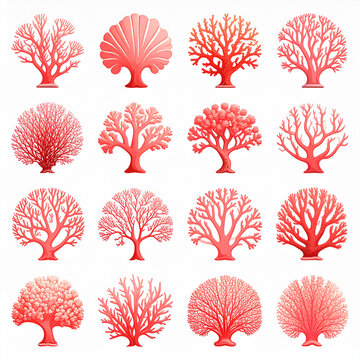 Coral reef illustrations