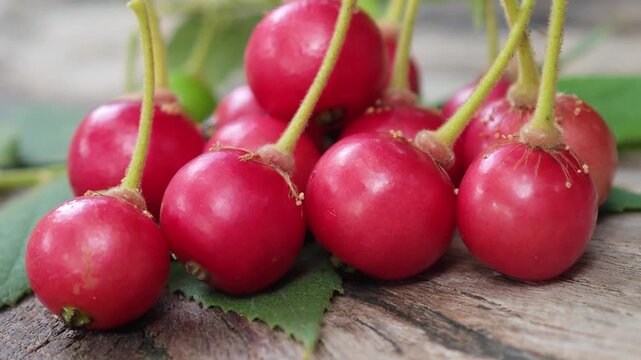 The fruit of the Indian gooseberry tree is a Thai fruit.