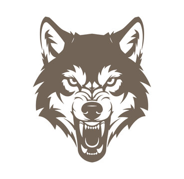 Brown wolf head with open mouth and sharp teeth on white background