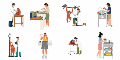 Collection of flat vector illustrations depicting veterinarians and caregivers conducting medical checkups and cleaning tasks in an orangutan rescue and rehabilitation center. © Rizki