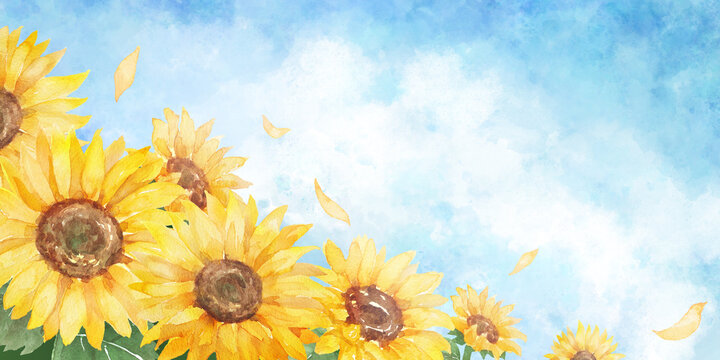 ひまわり Images – Browse 76,090 Stock Photos, Vectors, and Video