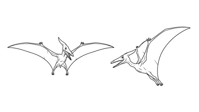 Two flying pterosaurs outlined on black background in prehistoric animal illustration